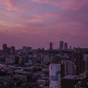 成人羞羞视频网站
